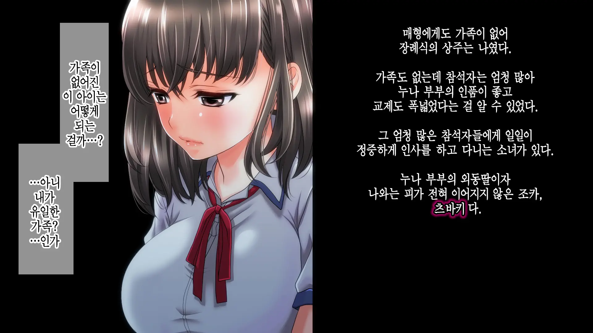 Ane No Wasuregatami No Mei O Ore Wa Okashita ~Zenpen~ | 누나가 죽고 남긴 조카를 나는 범했다 ~전편~